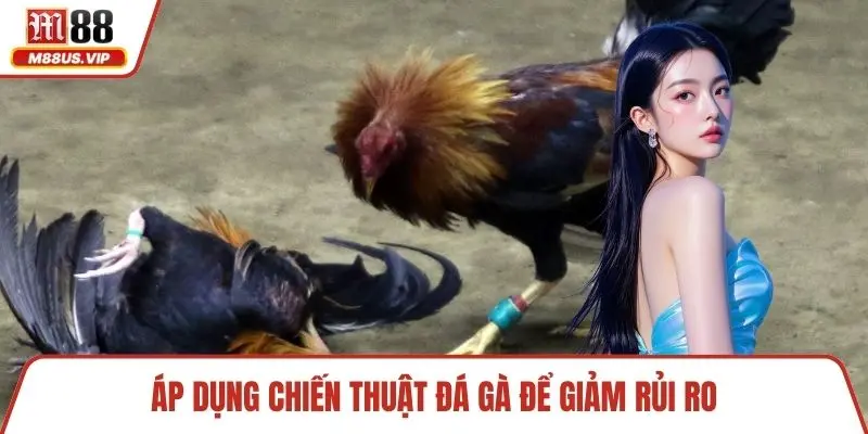 Áp dụng chiến thuật đá gà để giảm rủi ro