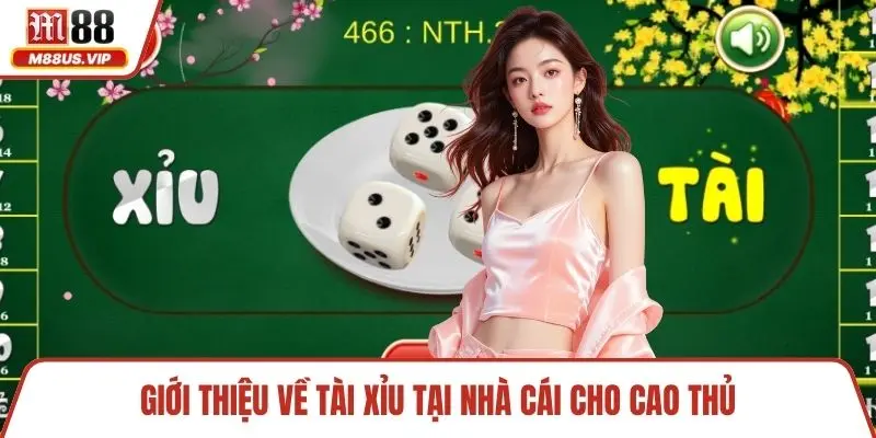 Giới thiệu về tài xỉu tại nhà cái cho cao thủ