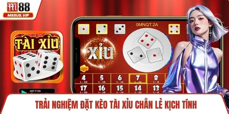 Trải nghiệm đặt kèo tài xỉu chẵn lẻ kịch tính